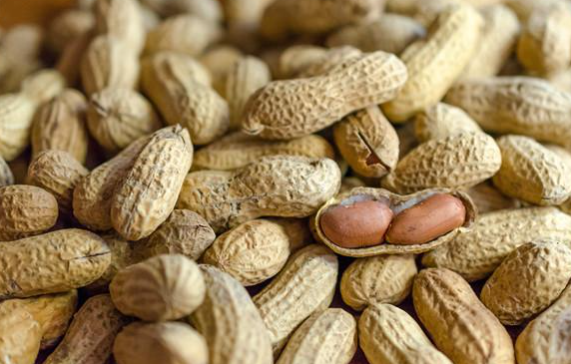 花生期貨上市運行情況及后市展望 花生期貨上市運行情況及后市展望